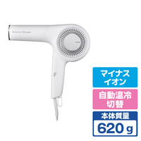 テスコム プロフェッショナルプロテクトイオンヘアドライヤー ホワイトアッシュ NIB500B-W