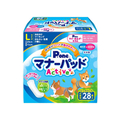 第一衛材 マナーパッドActive ビッグパック L 28枚 FCB4059